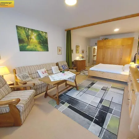 Studio In - Steiermark 41118