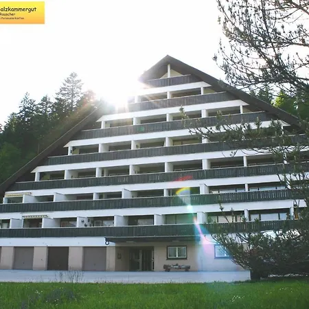 Studio In - Steiermark 41118 Lägenhet *