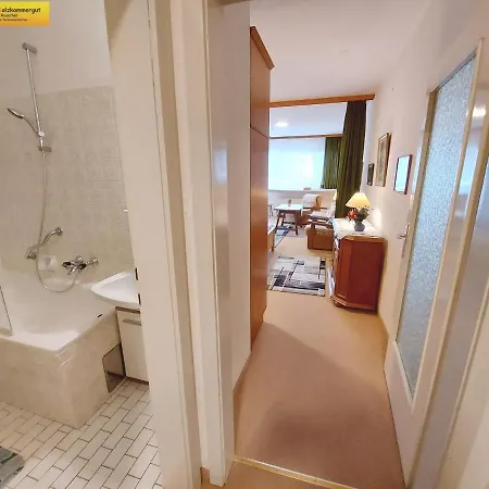 Studio In - Steiermark 41118 Lägenhet Bad Mitterndorf