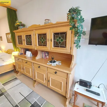 Studio In - Steiermark 41118